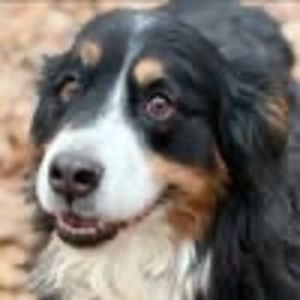 Meet your Posher, Ann